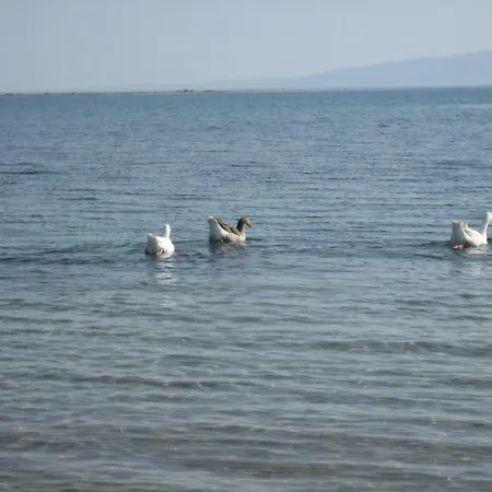 Hawaii Nea Michaniona