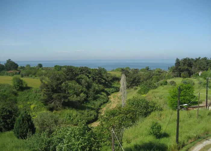 Hawaii * Nea Michaniona