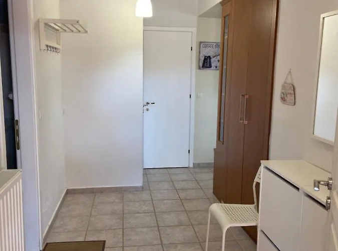 Hawaii Case de vacanță Nea Michaniona