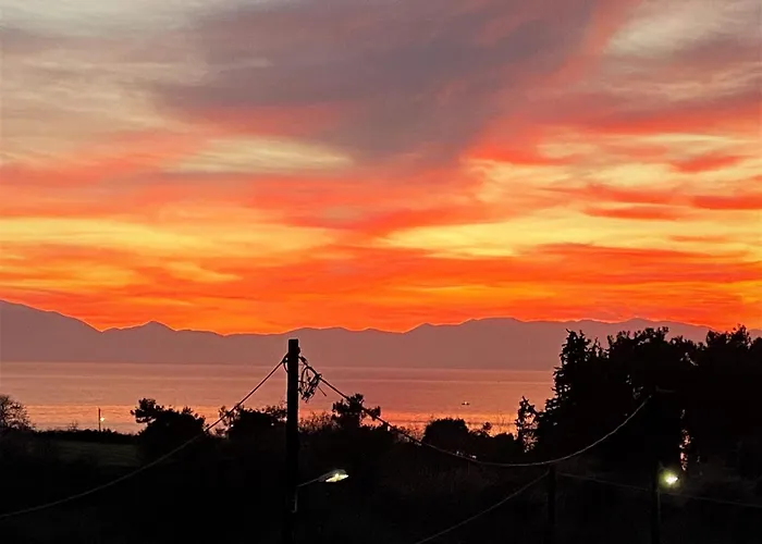 Hawaii Nea Michaniona